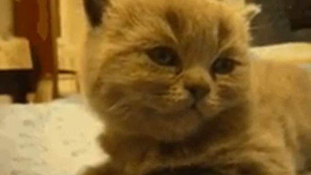 когда я хочу спать?