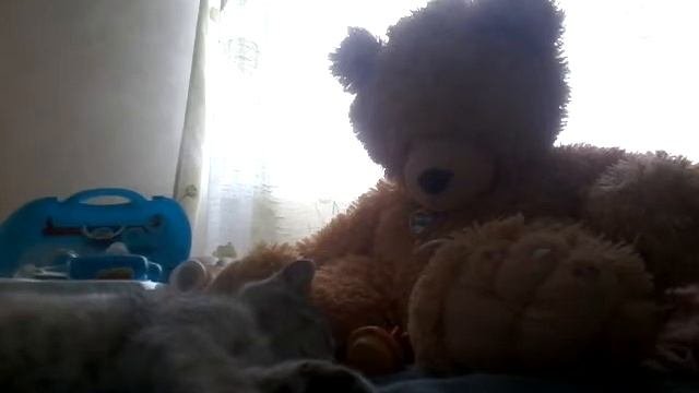 Укол