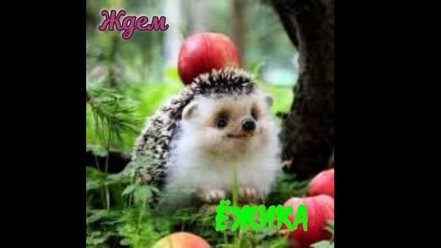 Сложный путь. 3 стрим. Много квестов, база и огород.