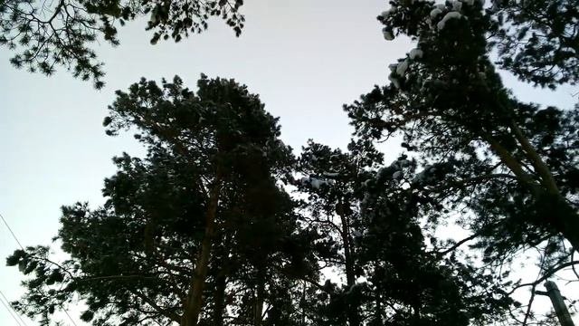 НАБЛЮДЕНИЯ НАТУРАЛИСТА 17. 01. 2020 г. Погода в Нижнеудинске.