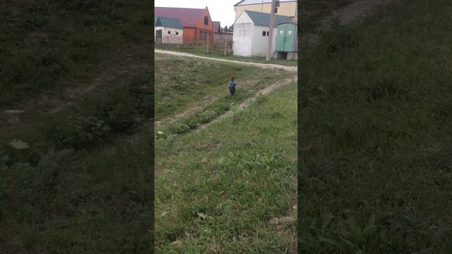 Алхан юрт