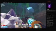 Slime rancher