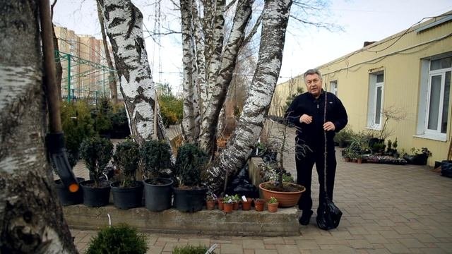 Ставропольский  ботанический сад. Колоновидные плодовые деревья.