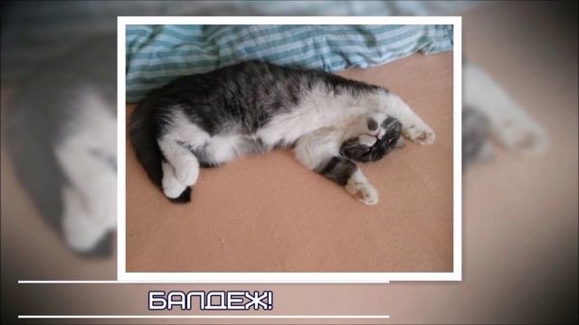 Фотосессия.mp4