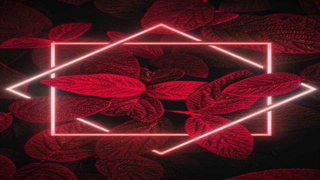 Разговорное видео (ТОЛЬКО ДЛЯ ИСТИННЫХ ПОДПИСЧИКОВ)