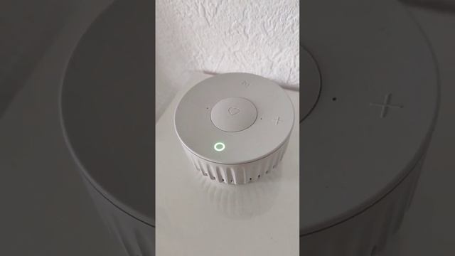 Умные колонки SBER совсем не умные ,а ...