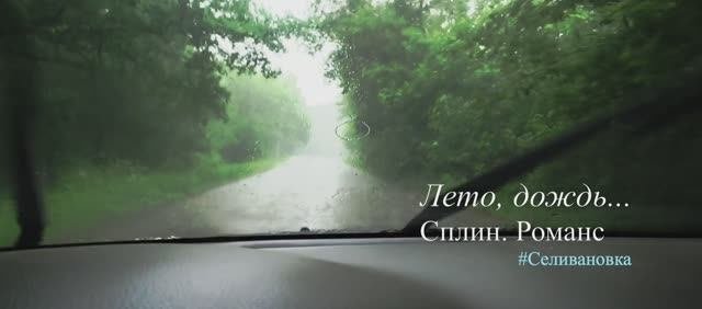 Лето. Дождь