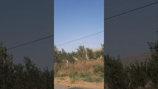 Милана мода топай лайфхаки для тик тока ХАБИБ - Ягода малинка Душанбе Россия  Узбек Selfcare VIP