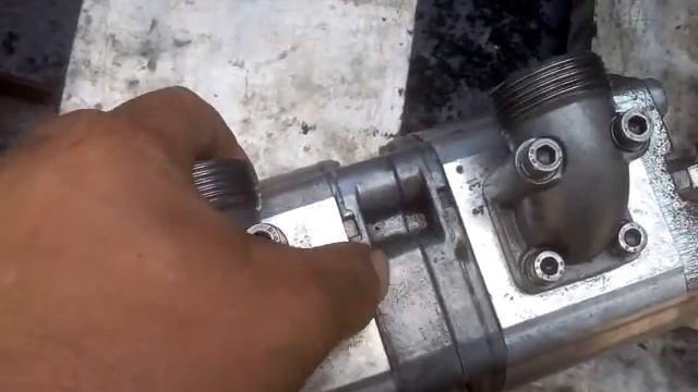насос сдвоенный 2