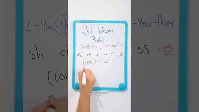 Simple Present Tense - 3rd Person Rules/-s, -es, -ies.