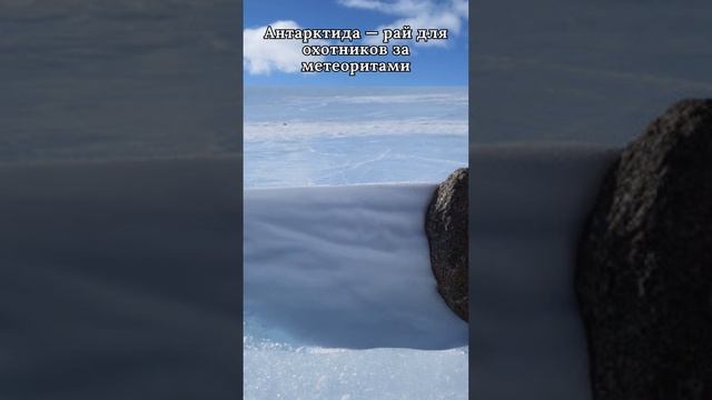 Антарктида — рай для охотников за метеоритами