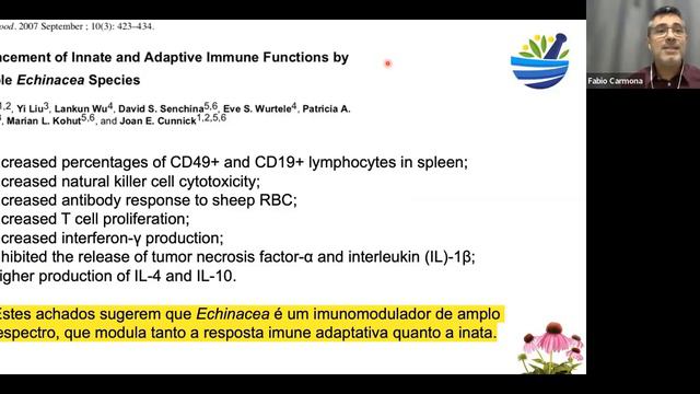 Influenza e outras síndromes gripais: existem evidências para o uso da Fitoterapia?