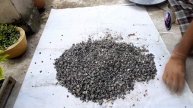 #FREE Use Cinder as Best Bonsai and Gardening Soil, Be the Creator, June'21