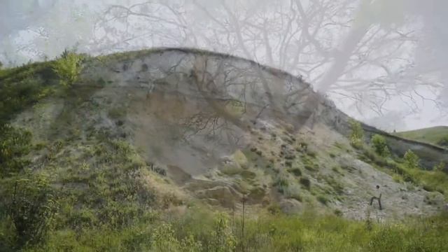 Выживший реликт доледниковой флоры - Сосна меловая