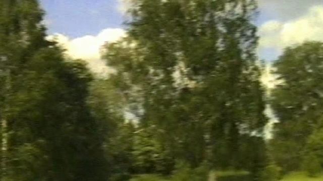 МОЯ РОССИЯ.ВЯТСКИЙ КРАЙ.песню исполняет  Ярослав Дронов(SHAMAN)