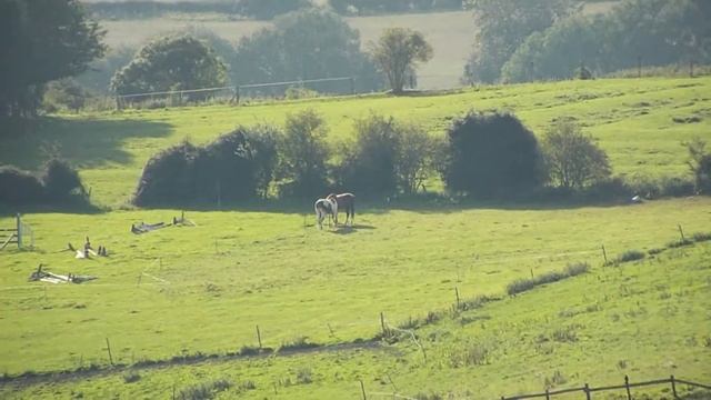 Fujifilm Finepix S8200 Zoom test