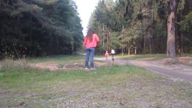 пробный бег с собакой