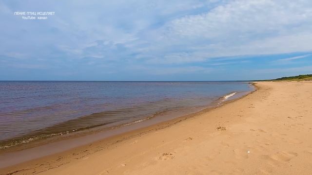 ШУМ МОРСКОЙ ВОЛНЫ,КРИКИ ЧАЕК УСПОКАИВАЮТ НАШУ НЕРВНУЮ СИСТЕМУ.ТЕЛО И ДУША ОТДЫХАЮТ ОТ ТРЕВОГ ДНЯ.