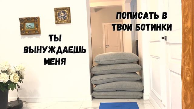 ЧЕЛЛЕНДЖ. ЛАБРАДОР ПРЫГУН В ВЫСОТУ
