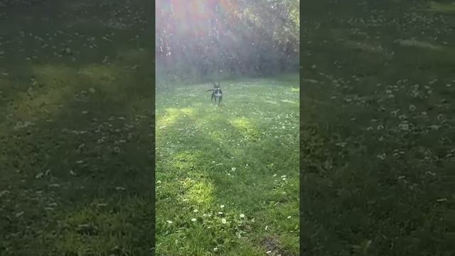 Энергия , в которой мы все нуждаемся??.