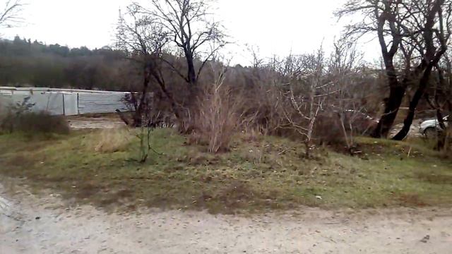 п-к Роман-Кош.19г.Площадка. Щенки 8 мес. Роман-Кош Джур,  Дюссельдорф с сестрой РК Учан-Су.Тучка.6