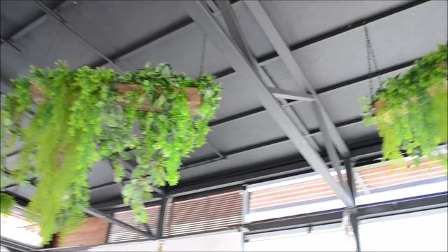 Елки летник 19г