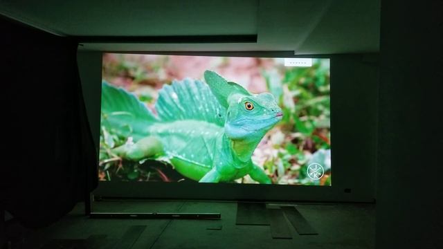 projector testing optoma uhd 52alv