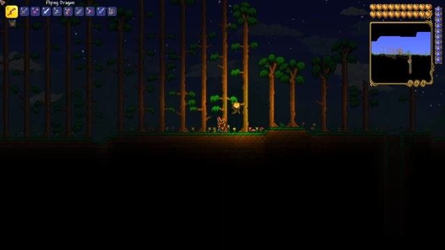Terraria 1.4 STUTTER SlowMotion FIX  PC  100 Working  2020  FIX LAGS