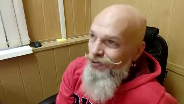 Отзыв Золотой Жук -  Александр Золотарев