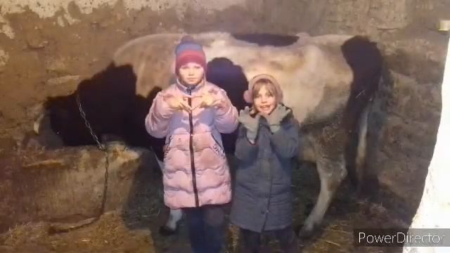 как наши дети любят животных