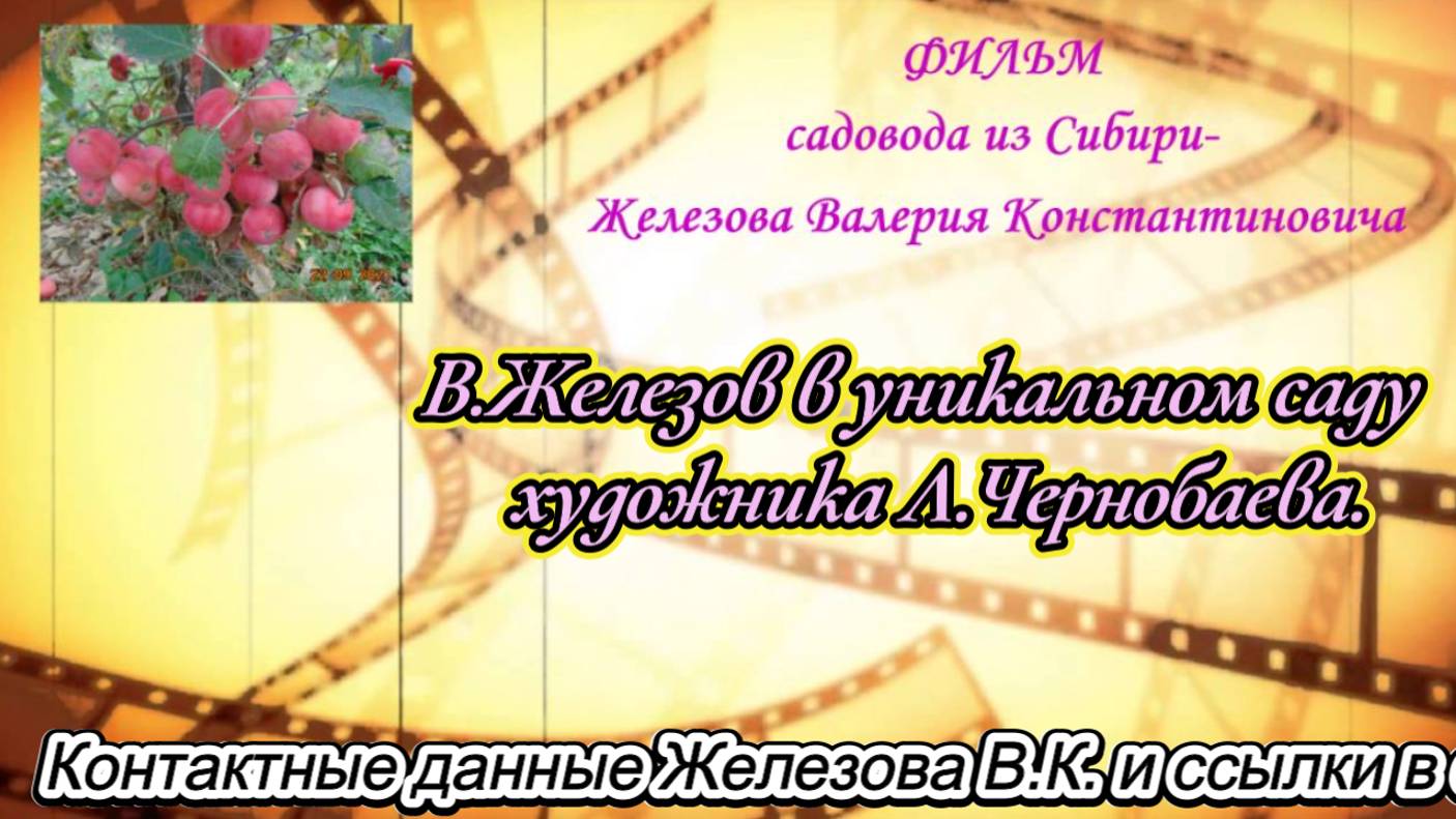 В.Железов в уникальном саду  художника Л.Чернобаева.