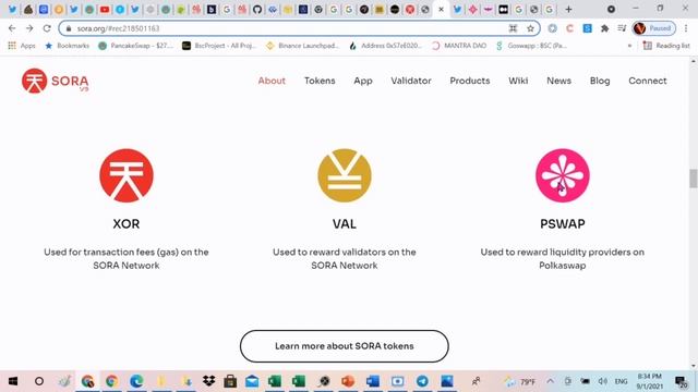 29. Sora (XOR), Polkaswap (PSWAP) Dự Án Tâm Huyết Của Công Ty Công Nghệ Nhật Bản