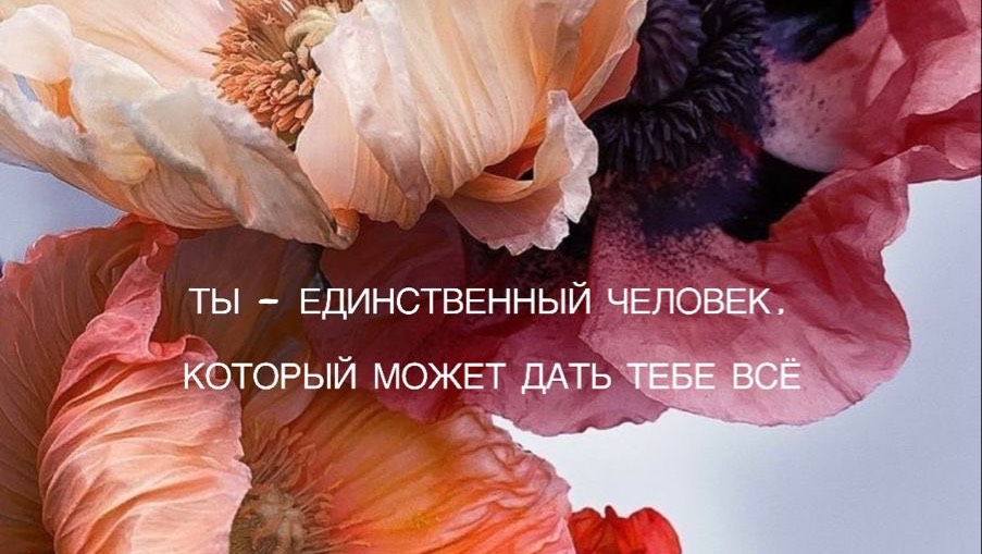 27-08-2024