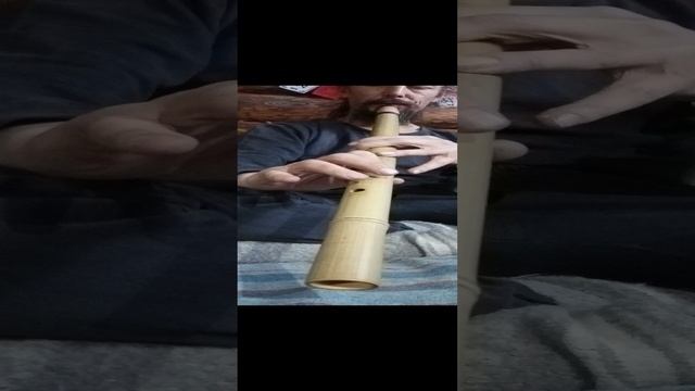 Импровизация на бамбуковой флейте cяо-ти
