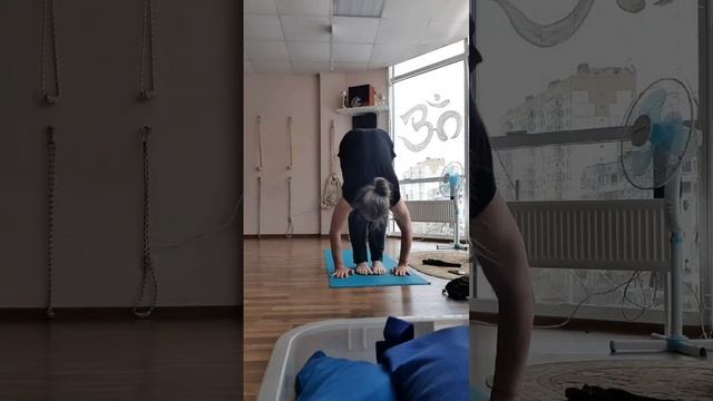 #йога #сурья #сурьянамаскар #yoga Марафон по практике Сурья-намаскар с Алексеем Комовым 25.12.22 г.