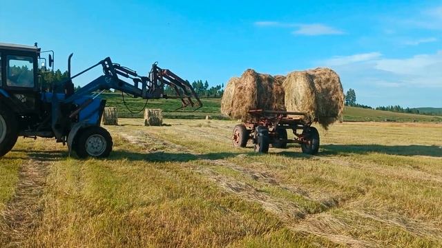Сенокос,прессуем и вывозим рулоны