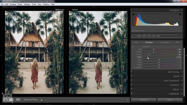 Ligtroom Tutorial - How To Edit Like Moody Green Hilvees x Eljackson Presets