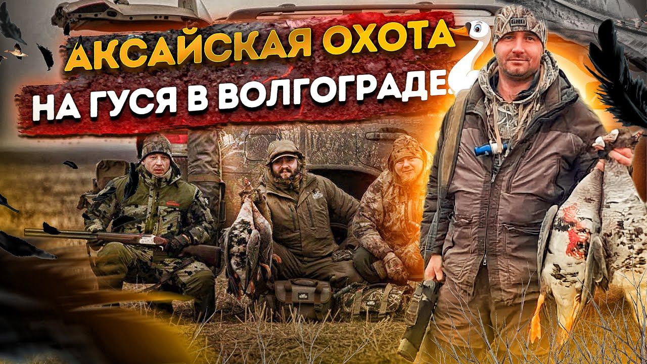 Аксайская охота на гуся в Волгограде / Осенняя охота на гуся 2023