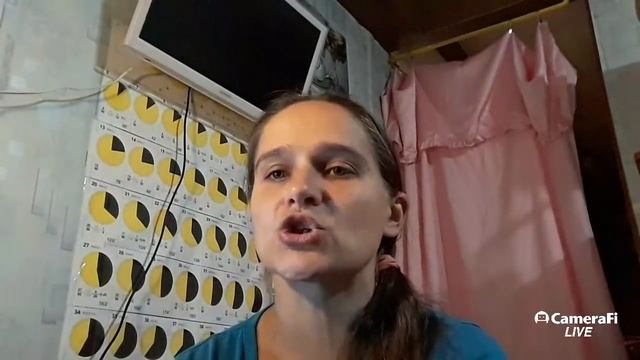 СТРИМ №21 ч.2. Откуда деньги в нашей семье? Работа. (09.18г.) Семья Бровченко.