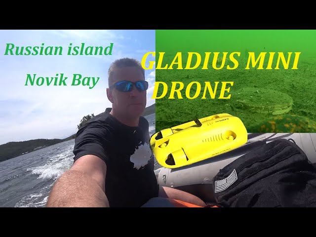 Gladius Mini Drone Russian island  Novik Bay