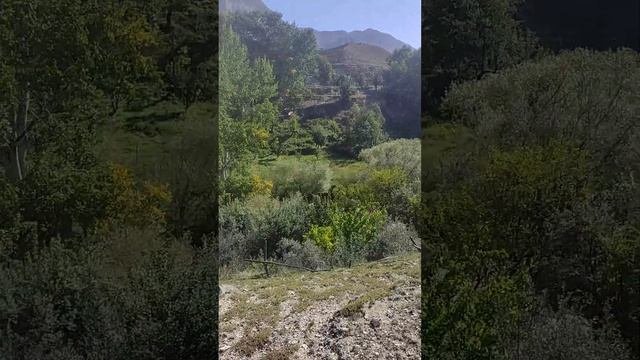 На против Куч ч!и Дагестан Убеки