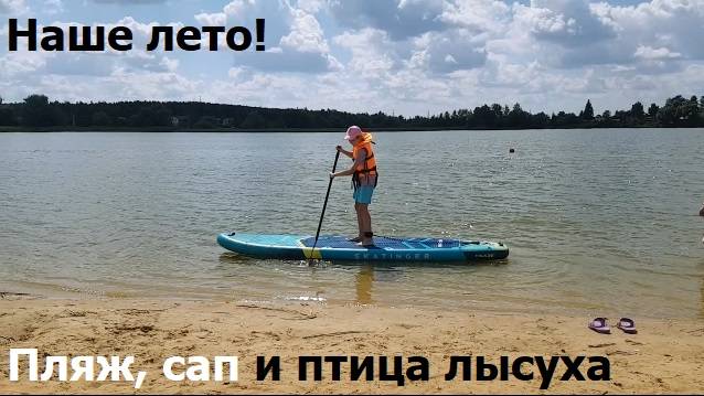 240810 Птица лысуха Отдых на пляже озера Светлая Жизнь Саб сёрф Sup Surf доска Сапсёрфинг город Орёл