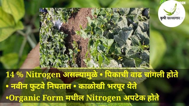 14-48-00 fertilizer माहिती | COMPO काय आहे | संपूर्ण माहिती | YouTube वर प्रथमच 14 48 माहिती #14480