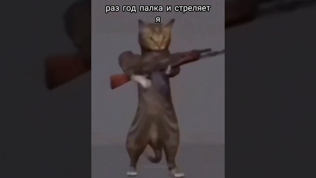 Раз в год палка и стреляет
