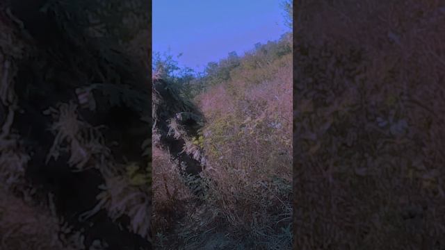 ВНЕЗАПНАЯ ВСТРЕЧА Страйкбол #рекомендации #рек #viralvideo #shorts #страйкбол #airsoft #airsoftgame