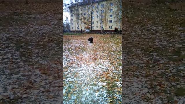 Лока - 13 лет. "Место"