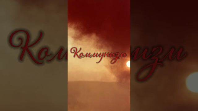 Мы это видели-мы так и мыслим...