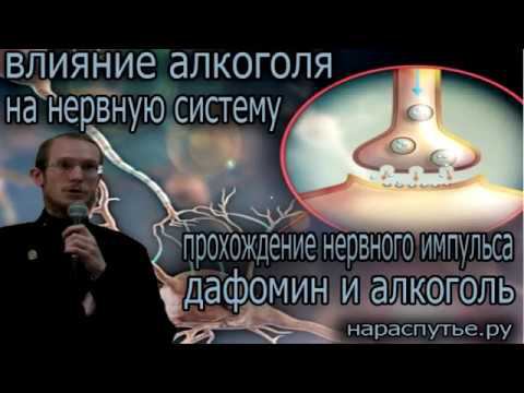 Влияние алкоголя на нервную систему человека