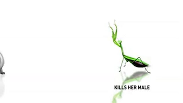 Kettler fitnessapparatuur