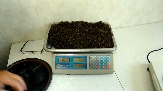 НАШЕСТВИЕ ОС.